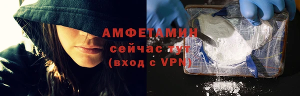 индика Алзамай