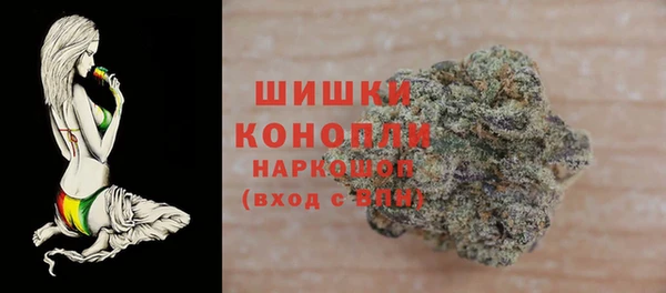 ешки Арсеньев