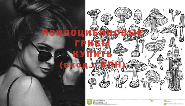 первитин Алексеевка