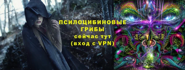 ешки Арсеньев