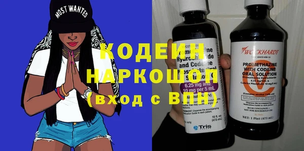 индика Алзамай